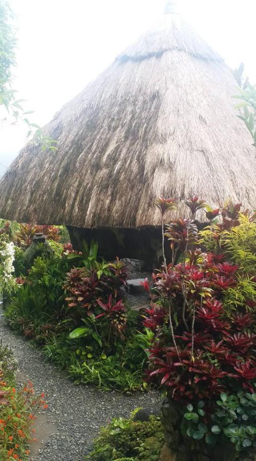 Ddd Heritage Inn Banaue Esterno foto
