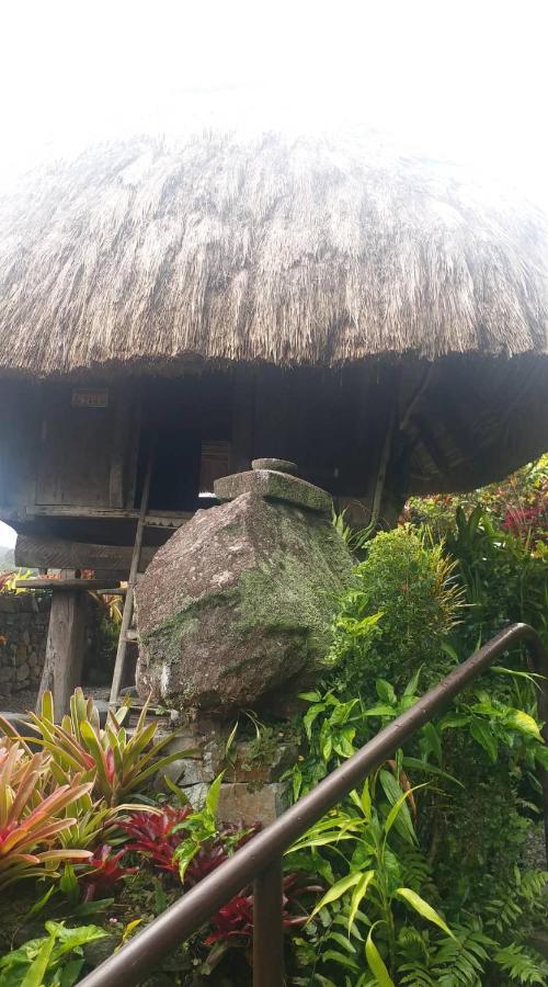 Ddd Heritage Inn Banaue Esterno foto